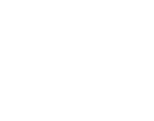 Panacita